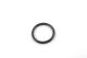 Seal - WHT002789